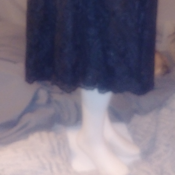 NWT Beautiful full bodied lace skirt lined - Picture 8 of 8